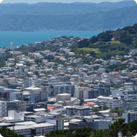 New Zealand Investors Forum