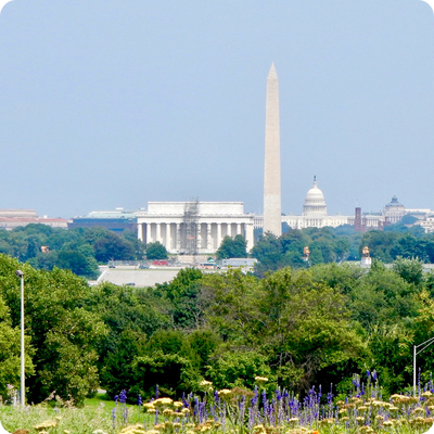 12th Annual Mid-Atlantic Institutional Forum