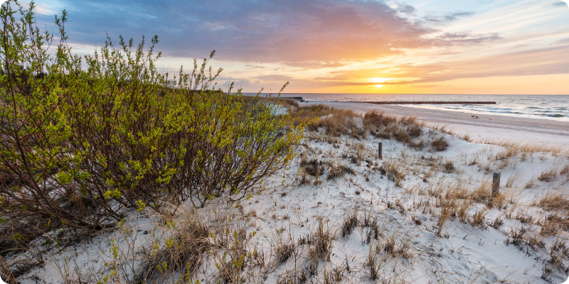 Institutional Fall Retreat